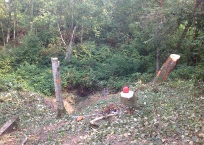 Sensitive Habitat Storm Outfall (Emerson), Surrey, BC