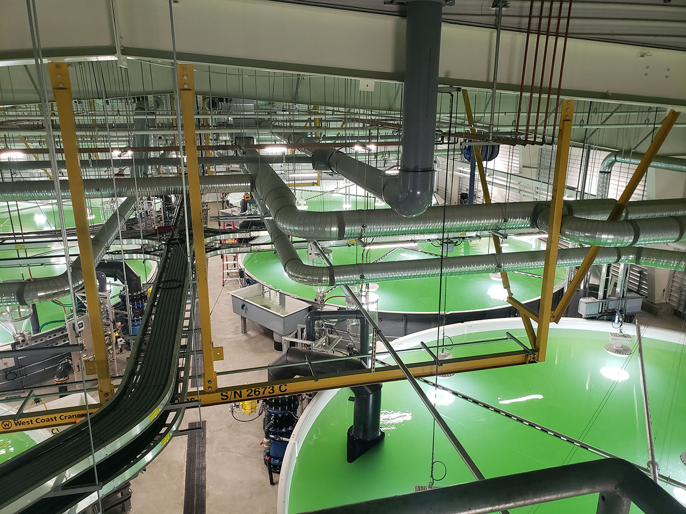 RAS-34 Land Based Hatchery